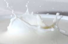 Separators, decanters and centrifuges for dairies