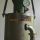BS 85 GEA Westfalia Separator Rotary Brush Strainers