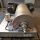 Z23-4/401 Flottweg Two-Phase-Decanters