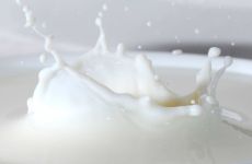 Separators, decanters and centrifuges for dairies