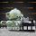 OSA 20-0136-066 GEA Westfalia Separator Self-cleaning Disc stack Centrifuges - Original may differ under certain circumstances.